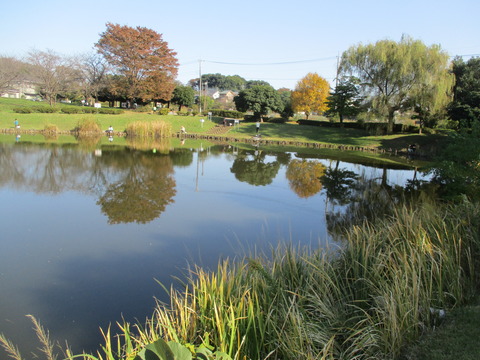 152西城沼公園3