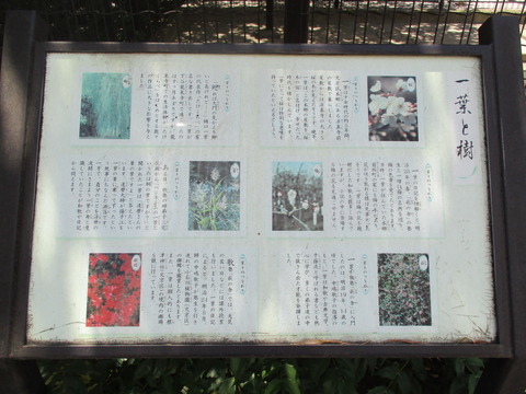 191一葉記念公園２