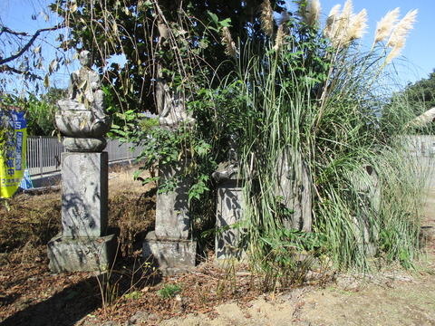 41全龍寺2