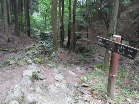 216折り返し地点7