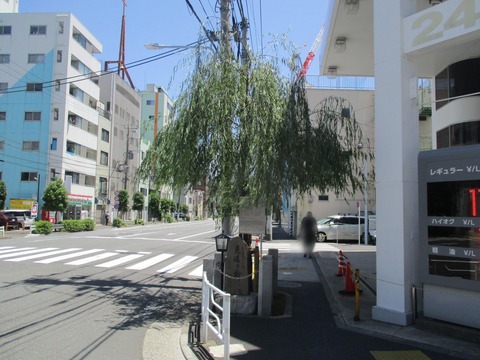 149見返り柳１