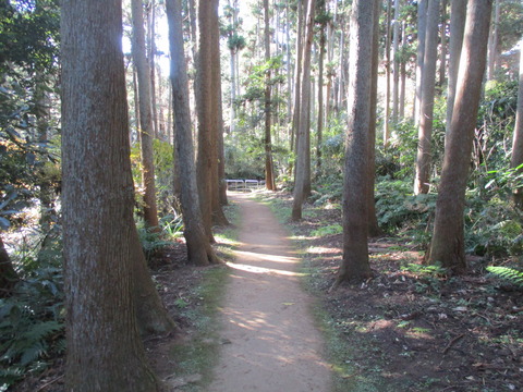 128熊野神社へ6