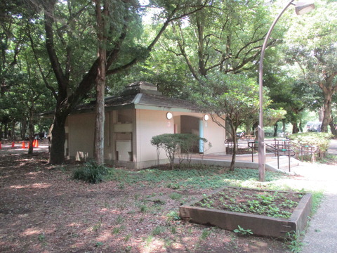 16砧公園10