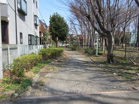 146緑道2