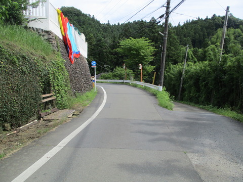 19魚1