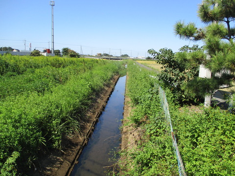 84皿沼橋3