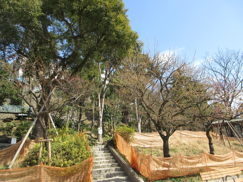 97公園内1