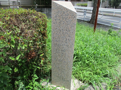 100小柳散歩道3