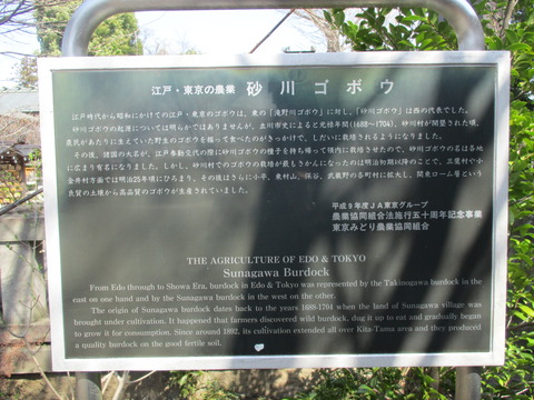 85砂川ごぼう