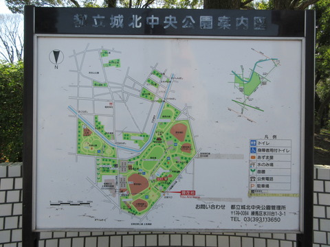 141案内図1