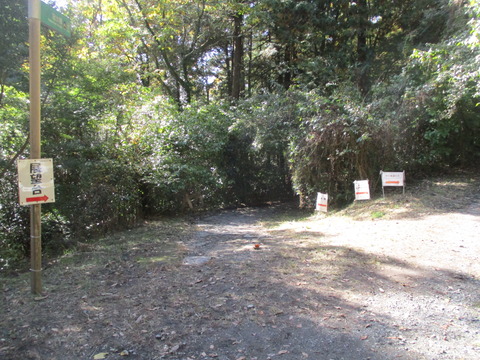 127冠水橋分岐点1