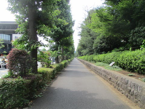 06歩道