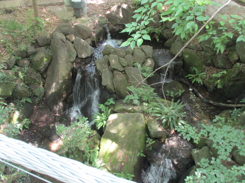 22吊り橋5