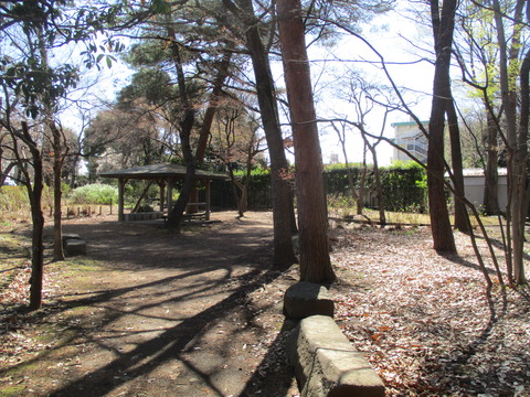 202浴恩館公園30