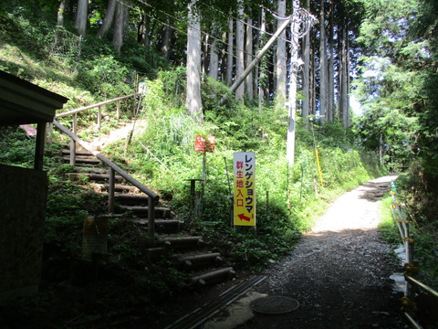 19群生地1
