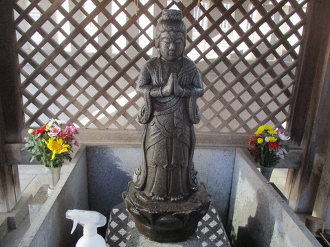 177善國寺14