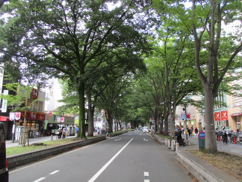 216大國魂神社前交差点２