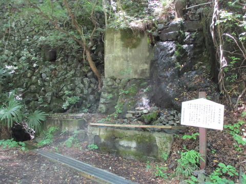 223馬の水のみ場2