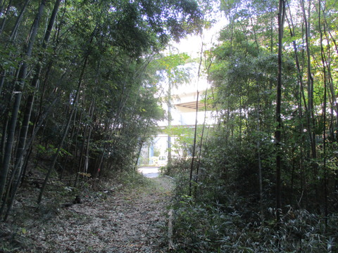 39散策路3