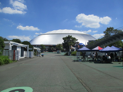 219駅へ2