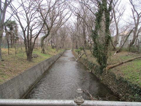 41千手橋4