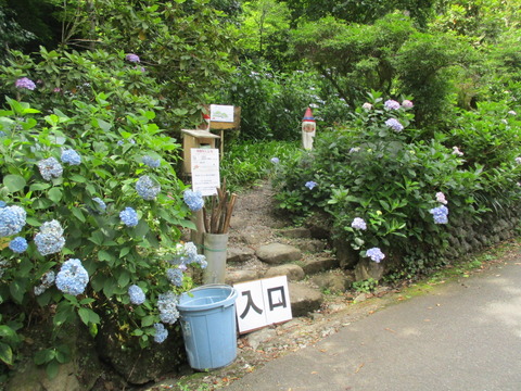 52入口1