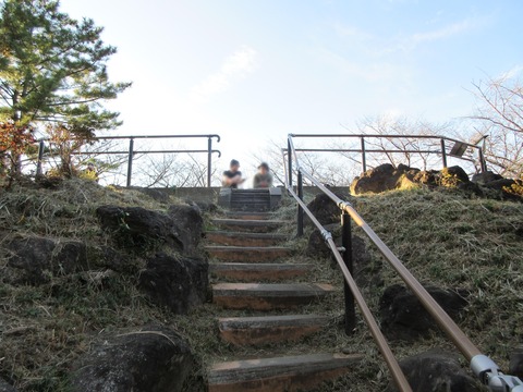 225戸山公園9