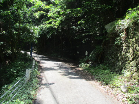 222馬の水のみ場1