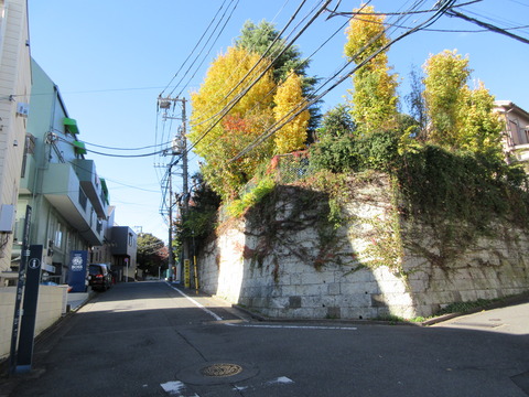 120本郷氷川神社1