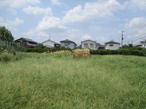 32畑5