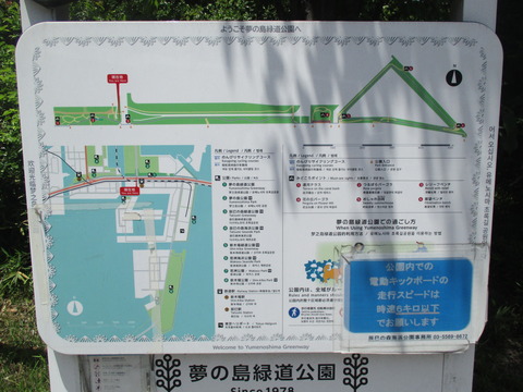 40夢の島緑道公園３