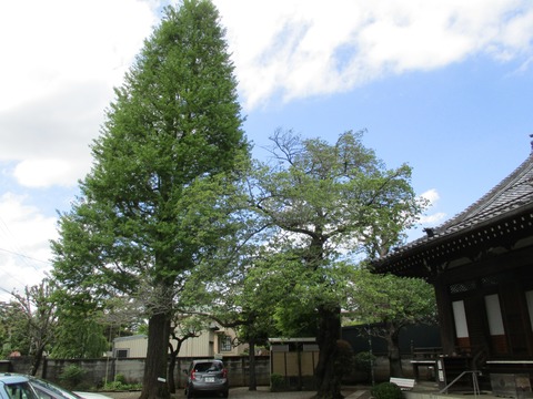 213存明寺5