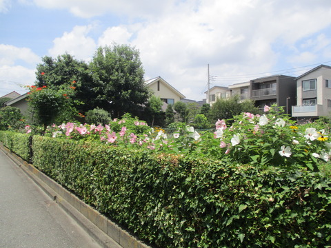 76住宅地