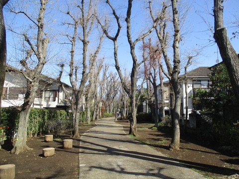 16本村公園11