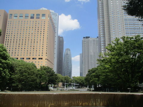 113新宿中央公園１０