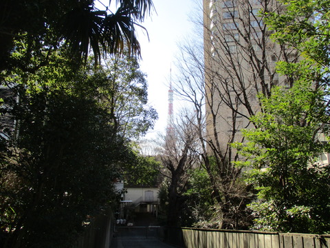 100遠くに東京タワー