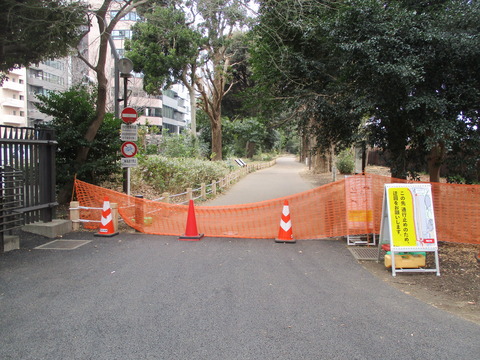 11-1散歩道5