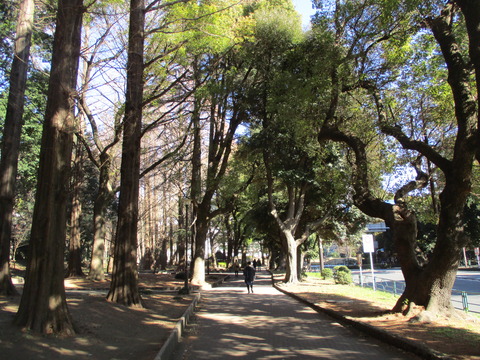 26芝公園