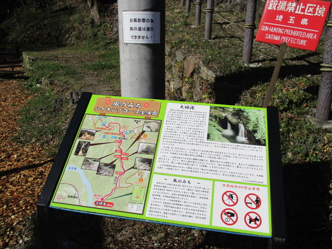 20夫婦滝3