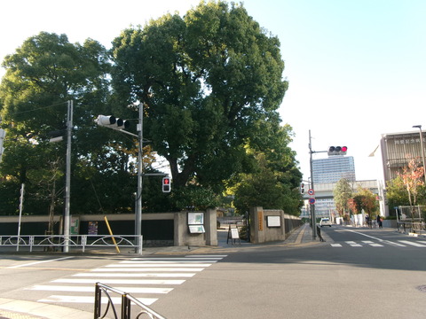 228旧安田庭園１