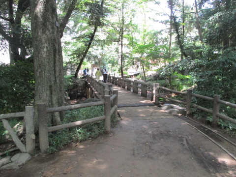 43有栖川宮記念公園15