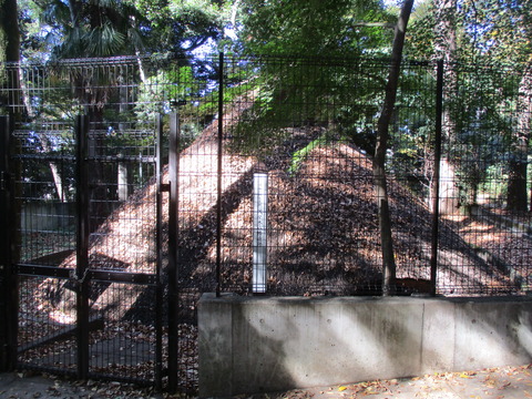 36代々木八幡遺跡1