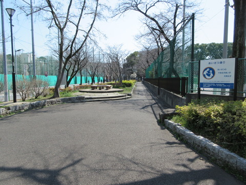 186桜川緑道6