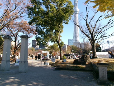 176隅田公園４