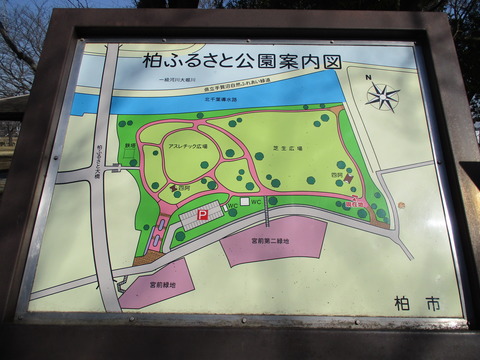 130公園内4
