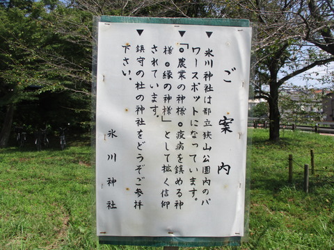 11氷川神社2