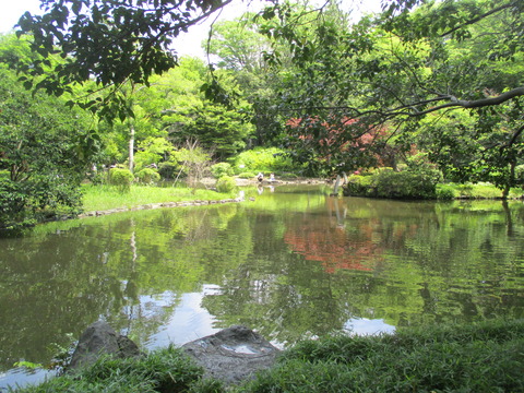 32有栖川宮記念公園4