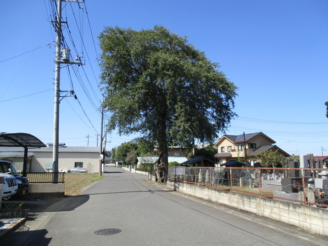 149-1柴山観音堂1
