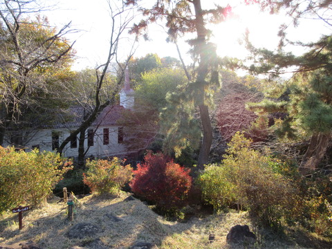 231戸山公園15