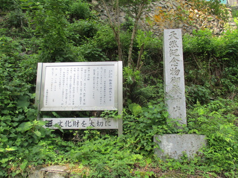 65神代ケヤキ2